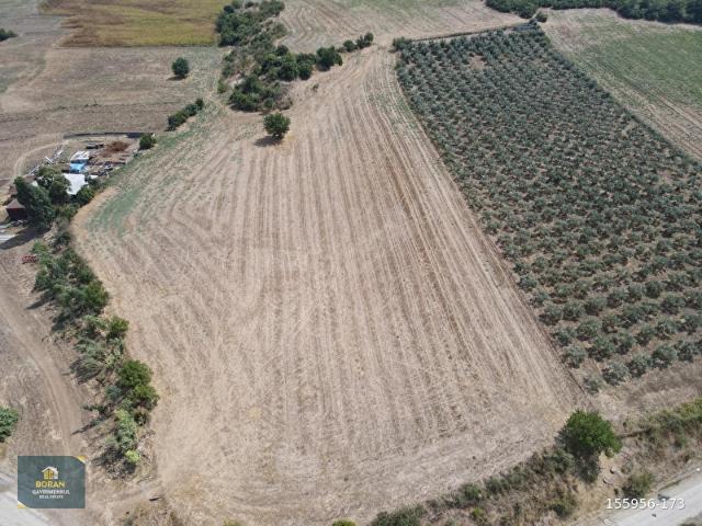 Küçük Çınar, Çukurova içerisinde satılık Arsa