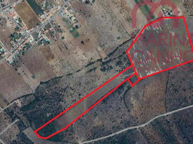 Terreno venda em Borba, Évora