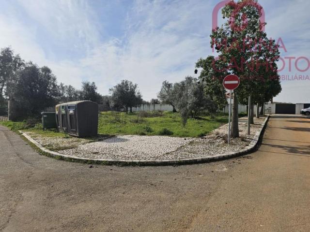 Terreno venda em Borba, Évora