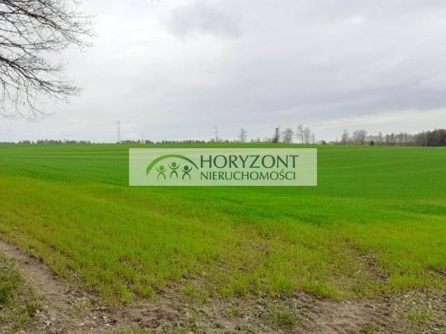 Grunt na sprzedaż w Borcz, Pomorskie