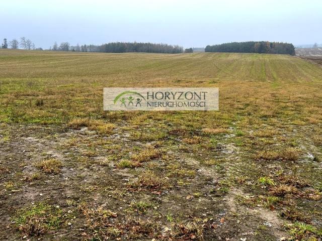 Grunt na sprzedaż w Borcz, Pomorskie