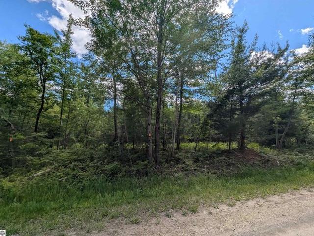 Land for sale in Standish, Michigan