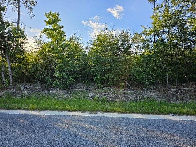 Land for sale in Rembert, South Carolina