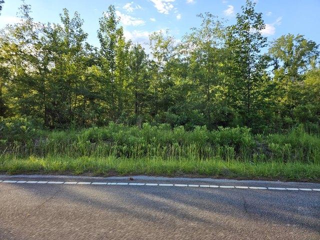 Land for sale in Rembert, South Carolina