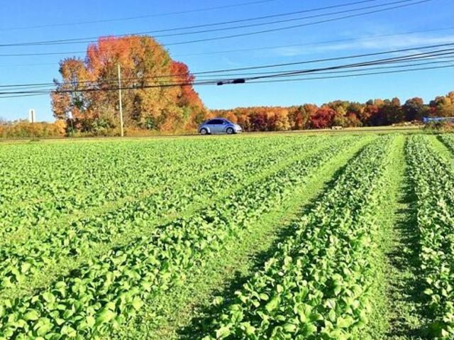 Land for sale in Chesterfield Land for sale in Chesterfield