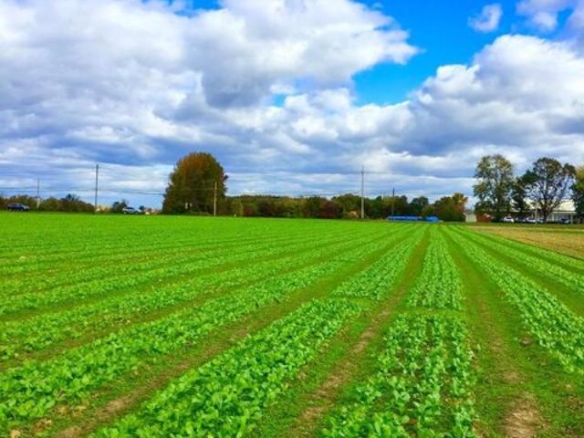 Land for sale in New Jersey