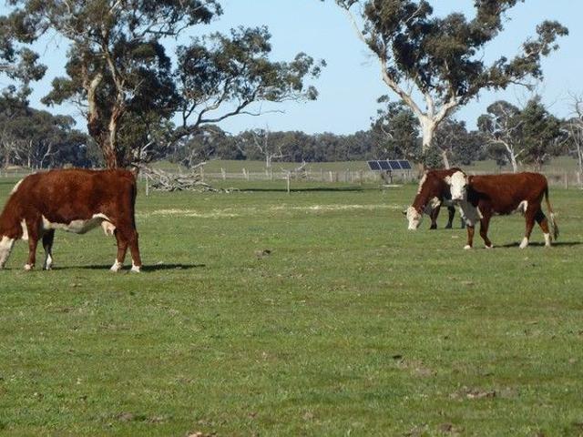Cottage for sale in Frances, South Australia