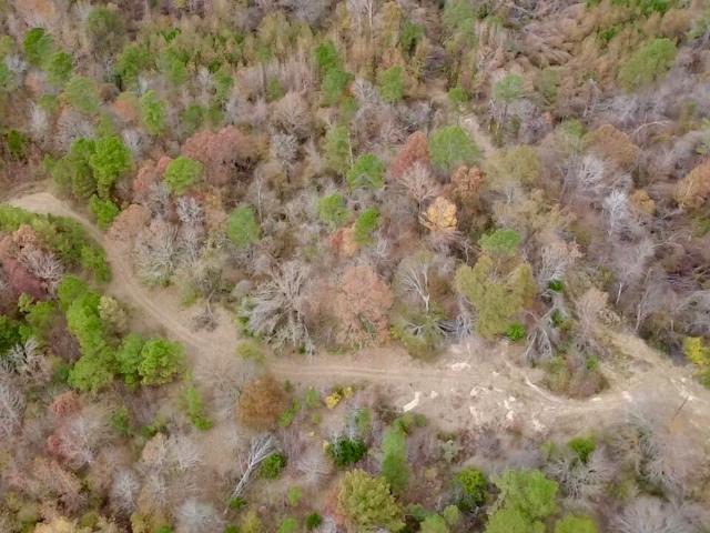 Land for sale in Carrollton, Mississippi