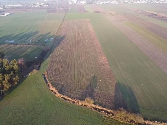 Grunt na sprzedaż w Borek Wielkopolski, Wielkopolskie
