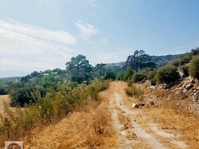 Bornova, İzmir içerisinde satılık Arsa