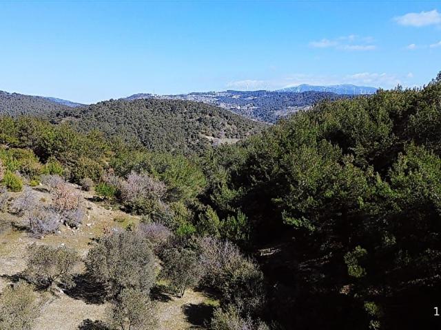 Bornova, İzmir içerisinde satılık Arsa