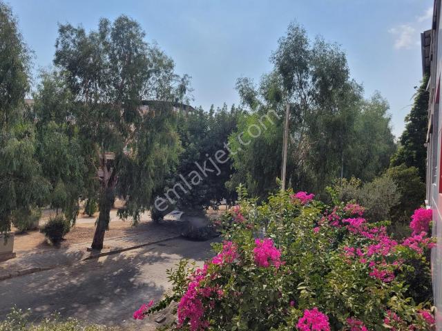 Bornova, İzmir içerisinde kiralık mülk