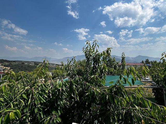 Bornova, İzmir içerisinde satılık mülk