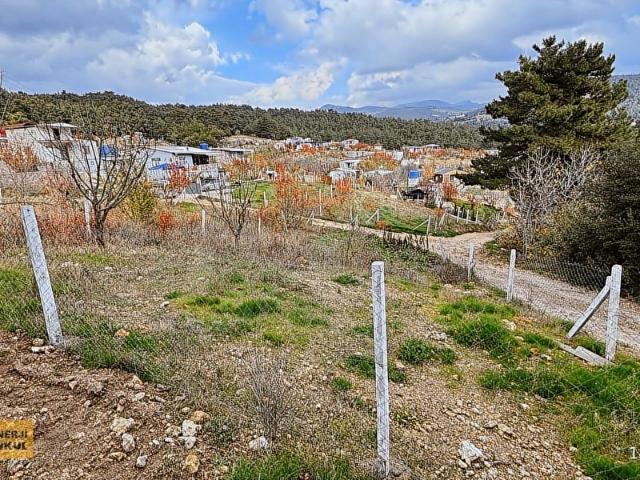 Bornova, İzmir içerisinde satılık mülk