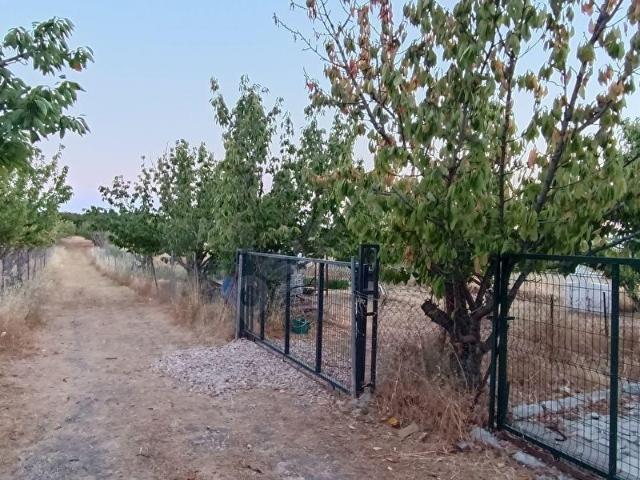 Bornova, İzmir içerisinde satılık Arsa