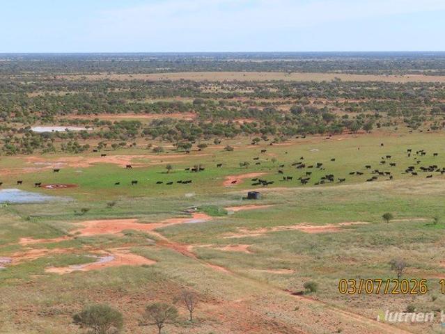 Cottage for sale in Broken Hill, New South Wales