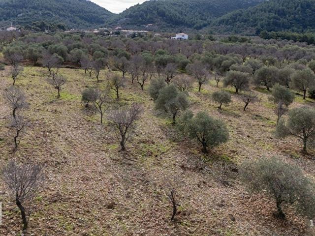Datça, Muğla içerisinde satılık Arsa