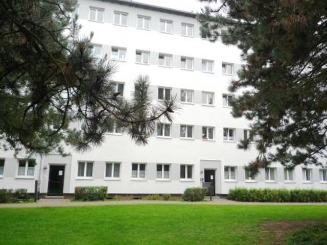 Apartment mieten in Mitte, Braunschweig