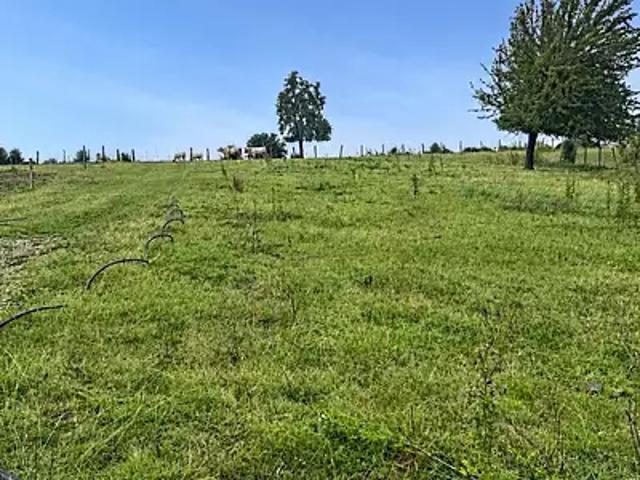 Terrain vente à Bosc-Mesnil, Seine-Maritime
