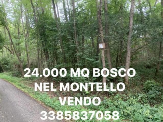 Terreno in vendita a Giavera Del Montello, Veneto