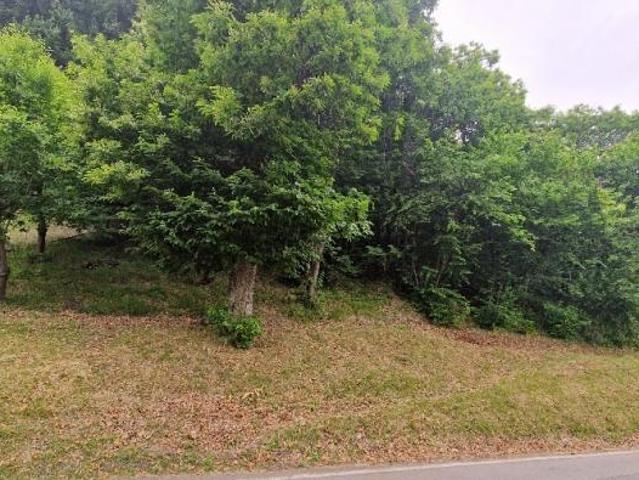 Terreno in vendita a Unione di comuni Terre di Castelli, Zocca