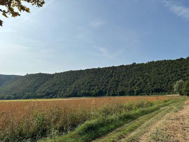 Terreno in vendita a Arcugnano, Veneto