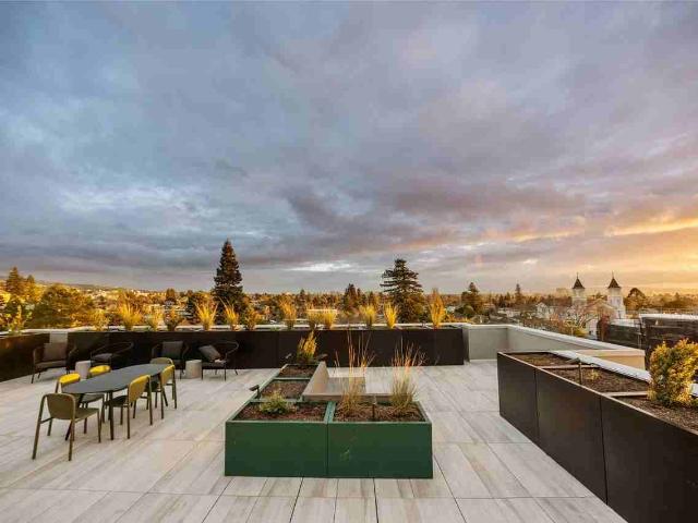 Apartment for rent in Berkeley