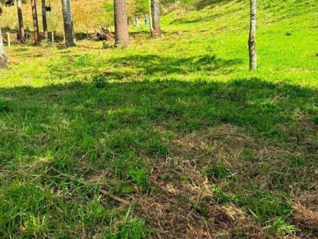 Terreno venda em Centro, Cambuí