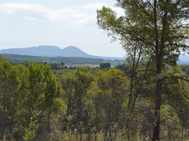 Terreno en venta en Vilopriu