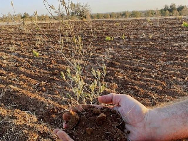 Kilis Merkez, Kilis içerisinde satılık mülk