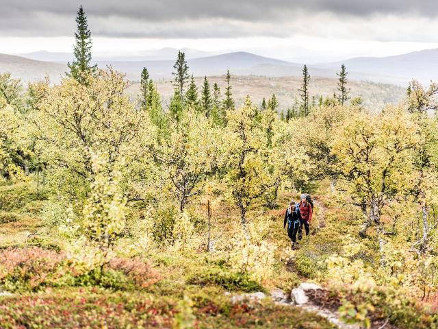 Bostadsrätt till salu i Duved, Jämtland