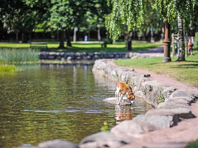 Bostadsrätt till salu i Göteborg, Västra Götaland