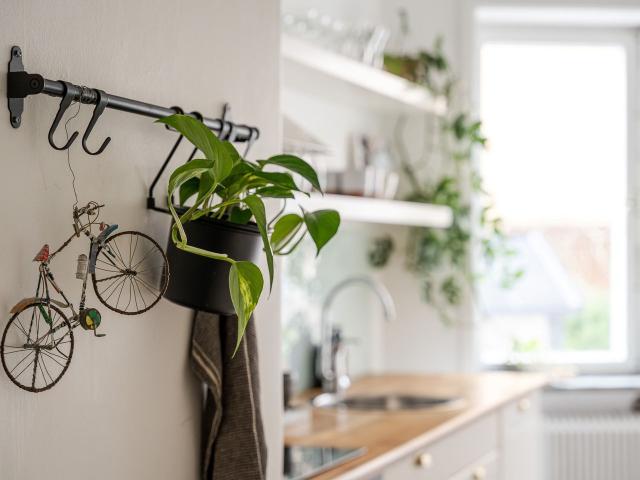 Bostadsrätt till salu i Norrköping, Östergötland