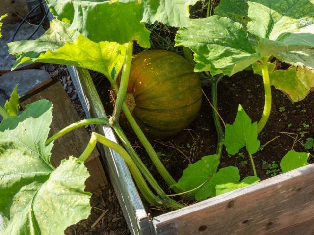 Bostadsrätt till salu i Norrtälje, Stockholm