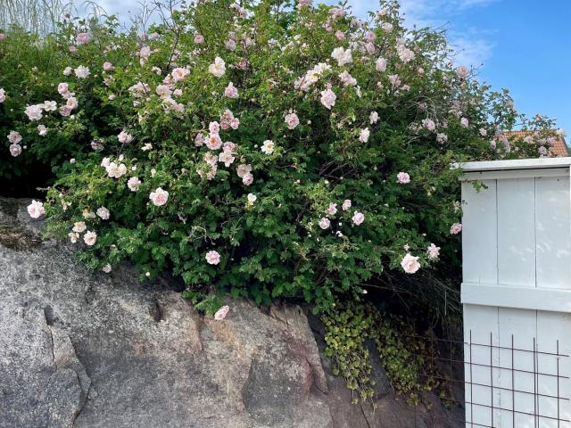 Bostadsrätt till salu i Oskarshamn, Kalmar