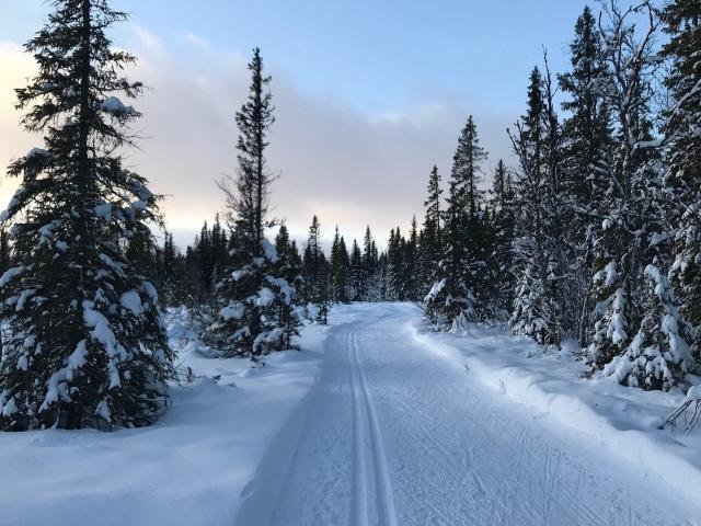 Bostadsrätt till salu i Åre Björnen, Jämtlands län