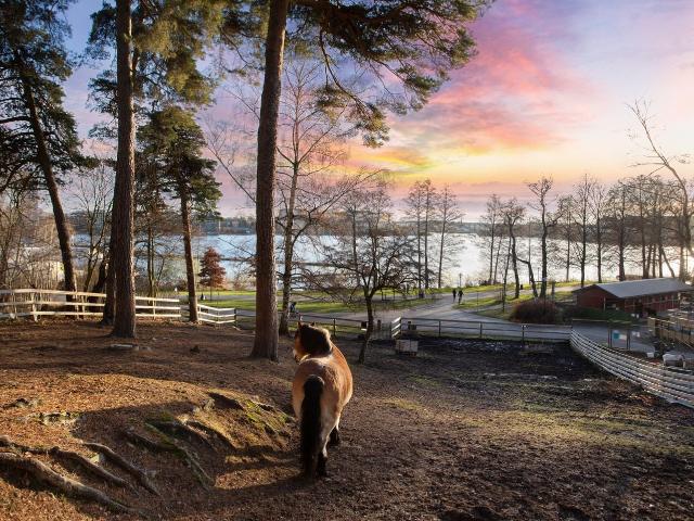 Bostadsrätt till salu i Solna, Stockholm
