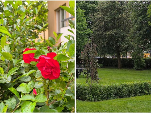 Bostadsrätt till salu i Uppsala