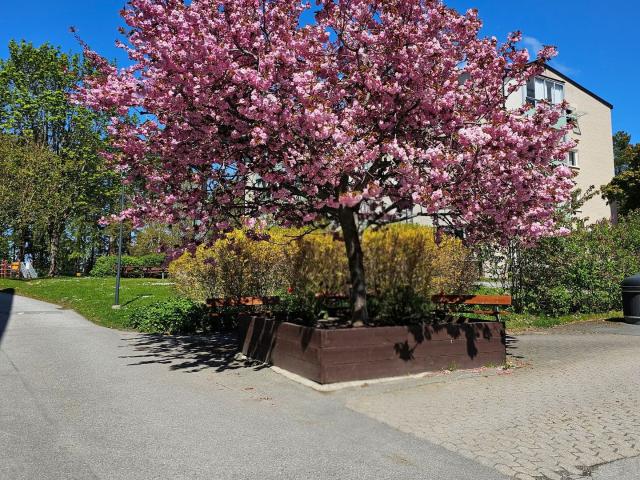 Bostadsrätt till salu i Vaxholm, Stockholm