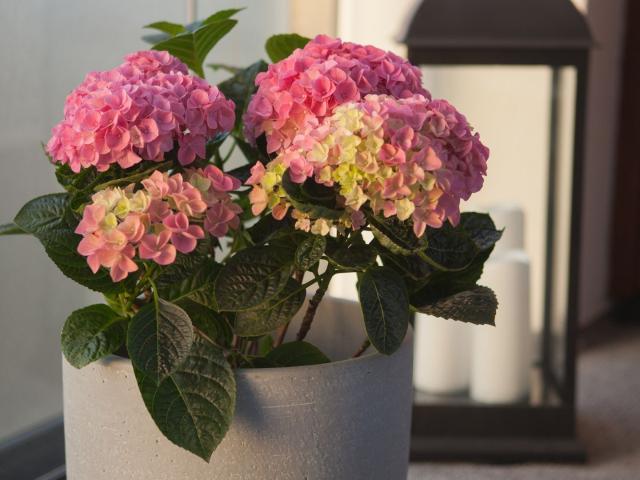 Bostadsrätt till salu i Växjö, Kronoberg