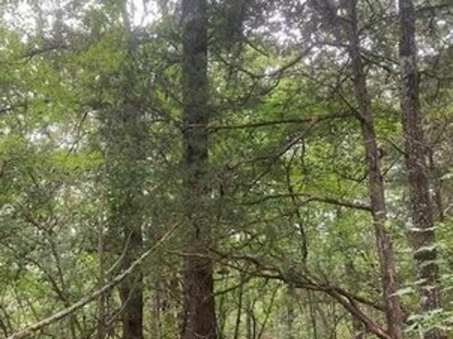 Land for sale in Mississippi