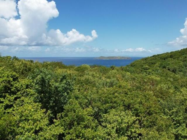 Land for sale in Saint Thomas, Missouri