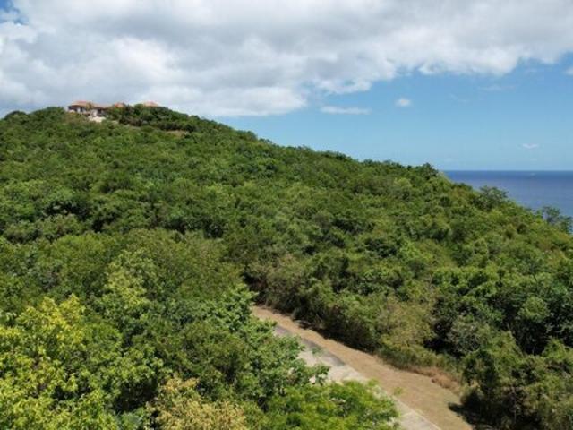 Land for sale in Saint Thomas, St. Thomas
