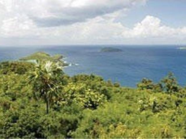 Land for sale in Saint Thomas, Missouri