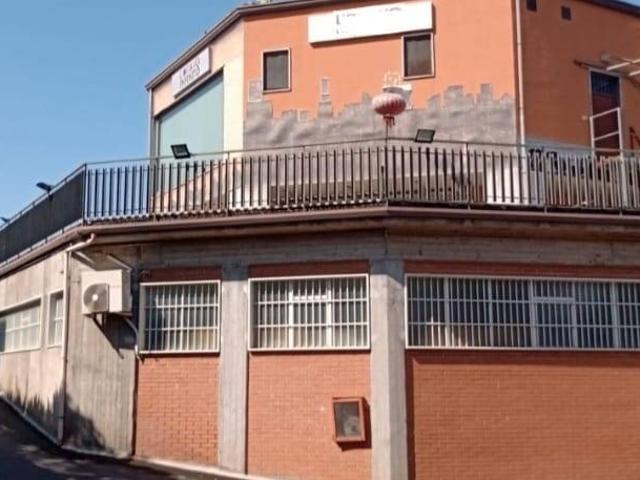Locale Commerciale in vendita a Santa Maria Di Licodia, Sicilia