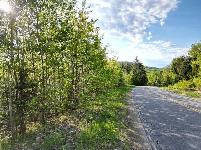 Land for sale in Springfield, Maine