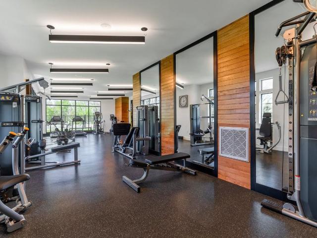 Apartment for rent in Frederick, Frederick County