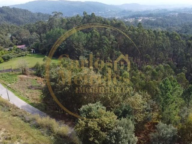 Terreno venda em Ribeira do Neiva, Vila Verde