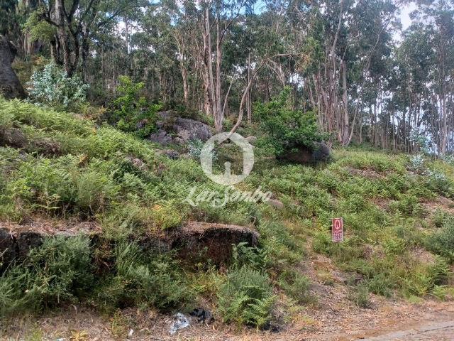 Terreno venda em Oliveira (São Mateus), Gavião