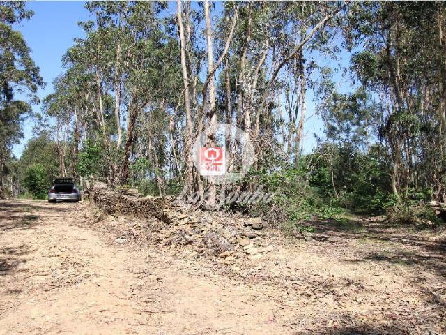 Terreno venda em Fradelos, Gavião